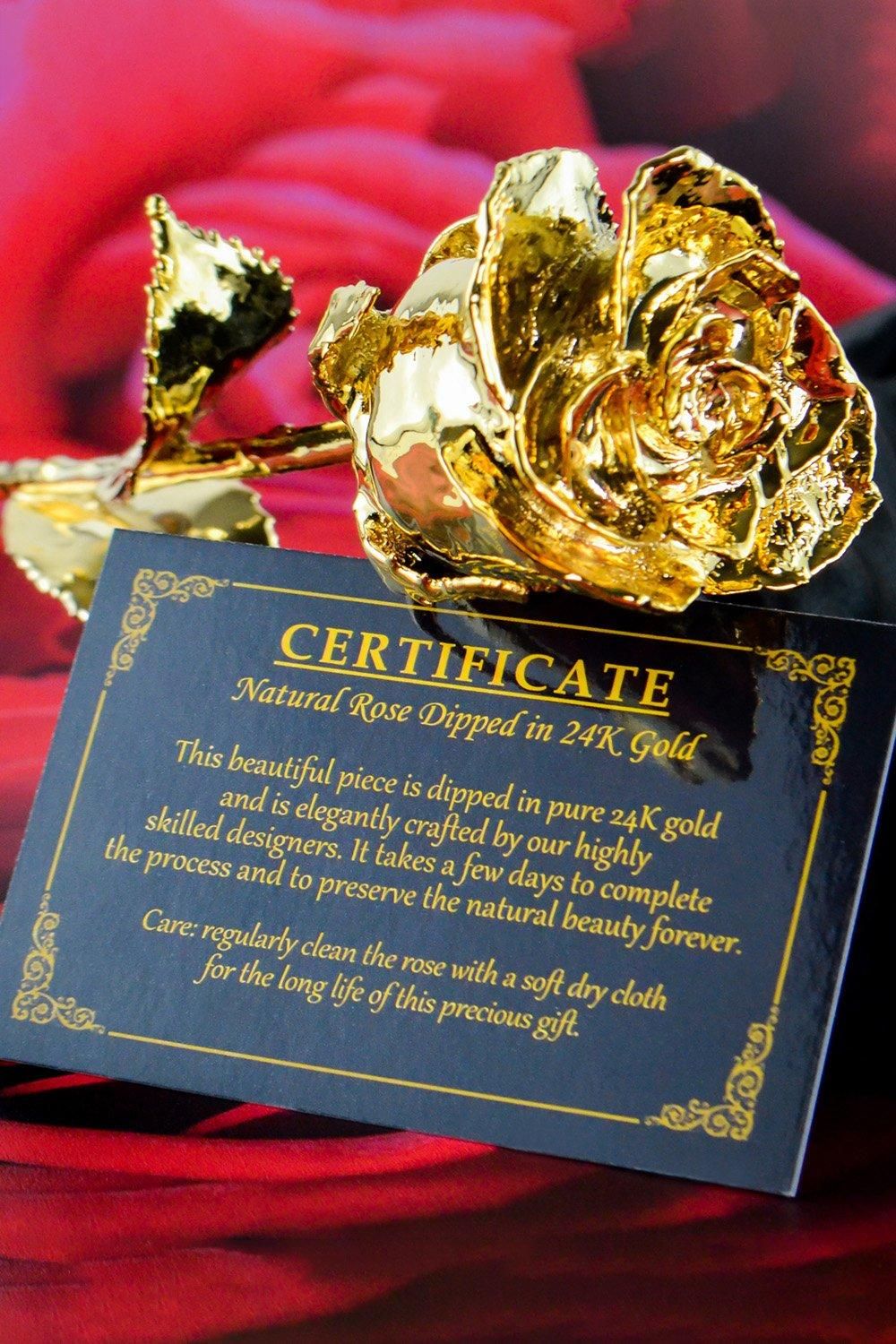 24k Gold Rose
