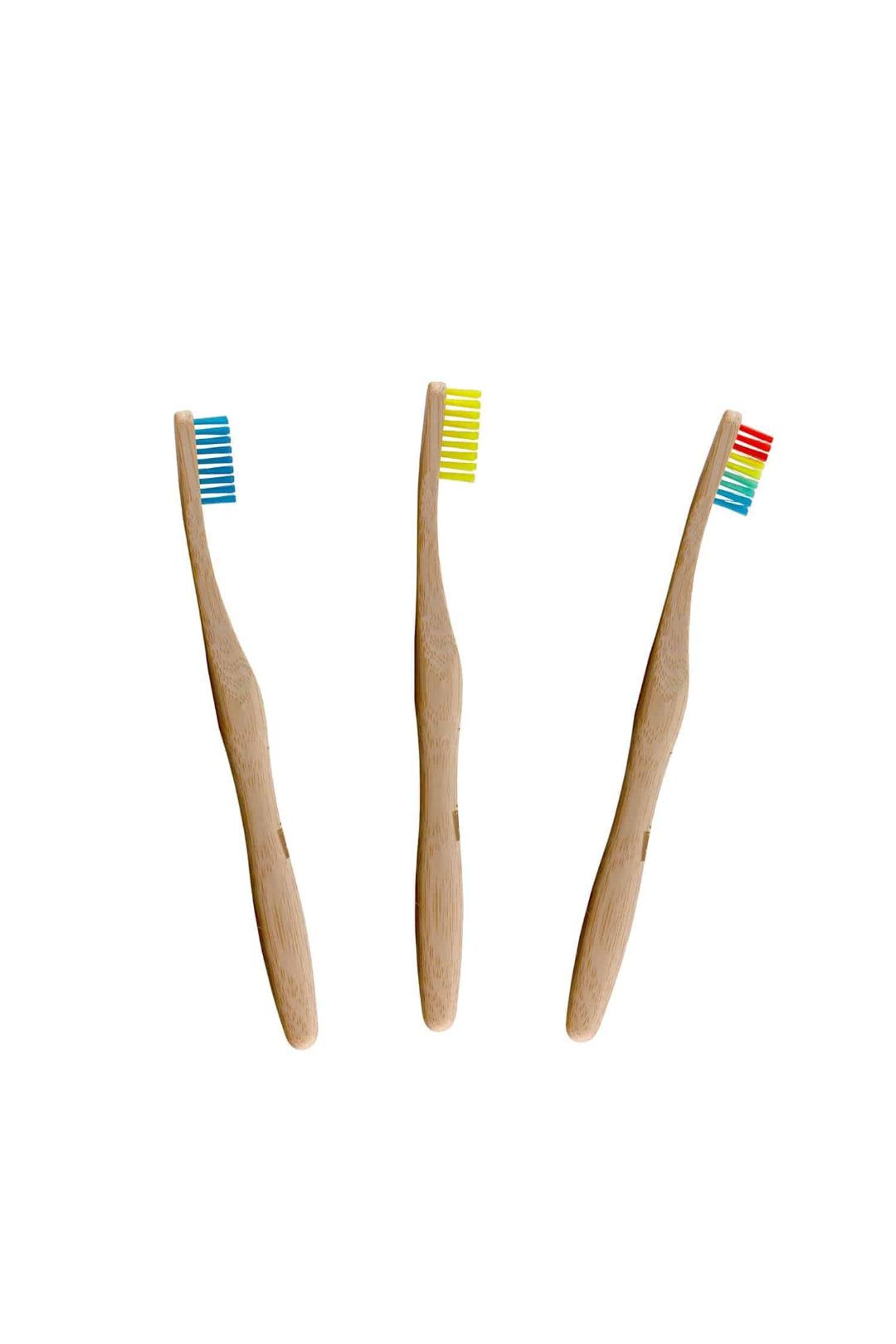 Vibrant Bamboo Toothbrush Kit
