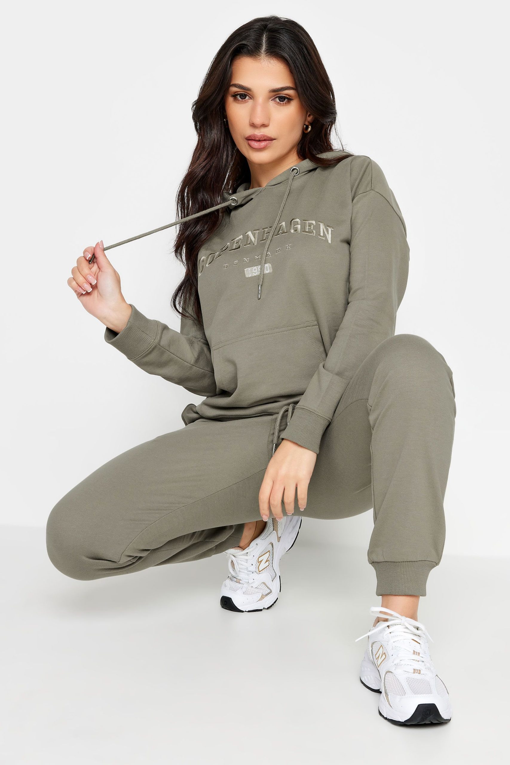 Petite 'Copenhagen' Embroidered Hoodie
