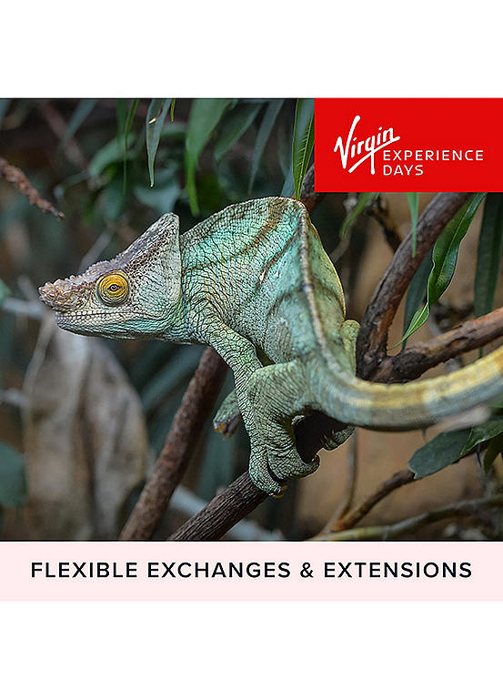 Virgin Experience Days Visit to Chester Zoo for Two Adults - Email Delivery